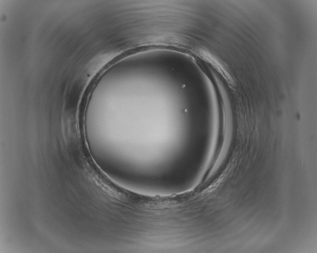 X0000073450884200608041025