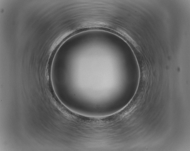 X0000073450885200608041025