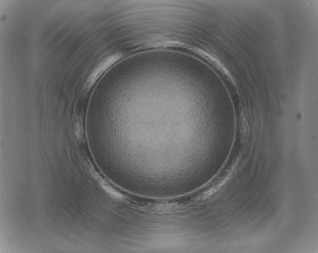 X0000073450889200608041025