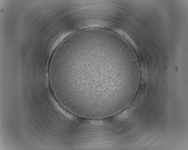 X0000073450890200608041025