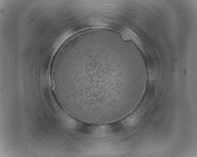 X0000073450891200608041025