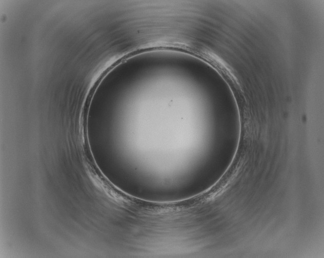 X0000073450892200608041025