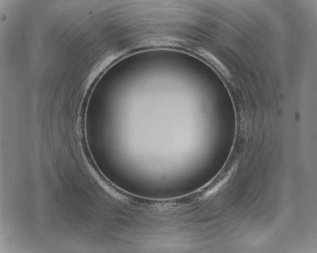 X0000073450893200608041025