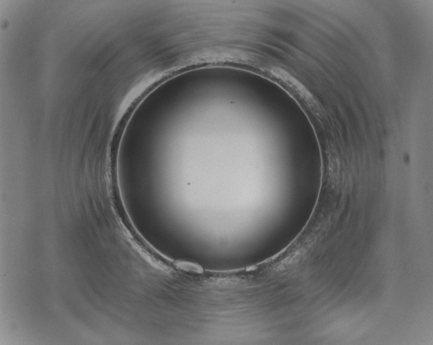 X0000073450894200608041025