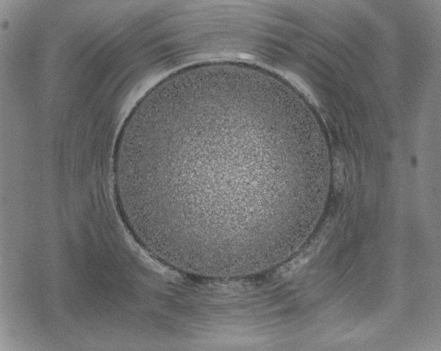 X0000073450895200608041025