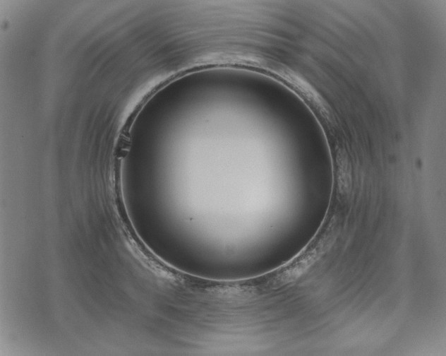 X0000073450896200608041025