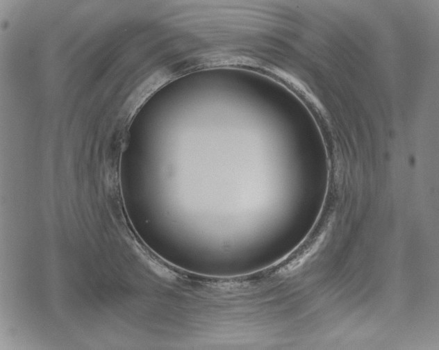 X0000073450897200608041025