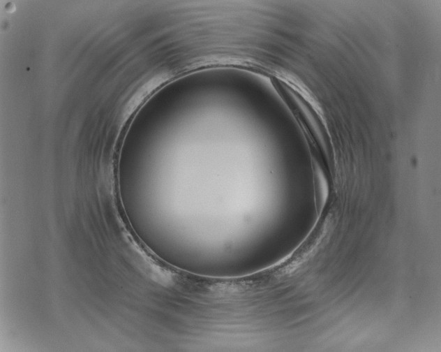 X0000073450898200608041025