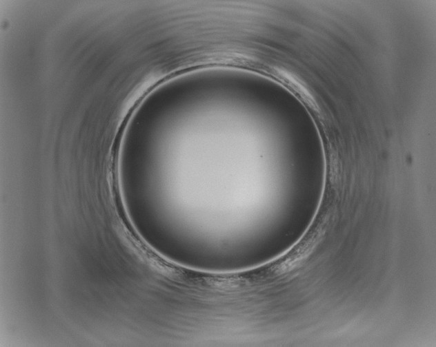 X0000073450899200608041025