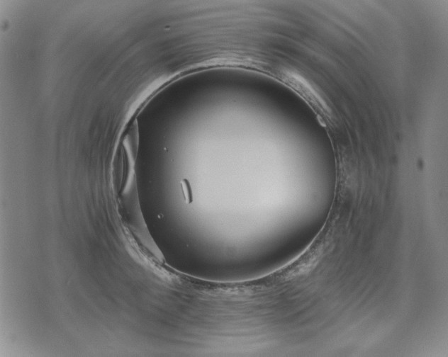 X0000073450900200608041025