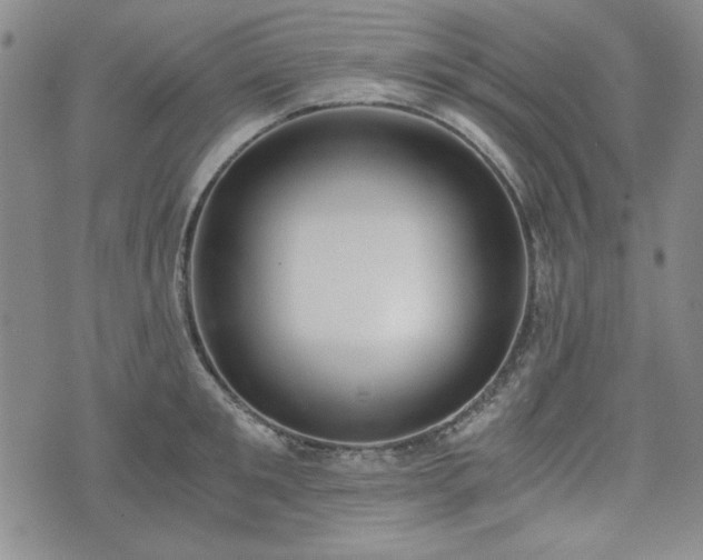 X0000073450901200608041024