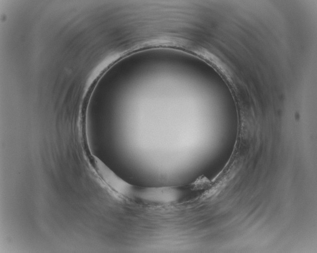 X0000073450902200608041024