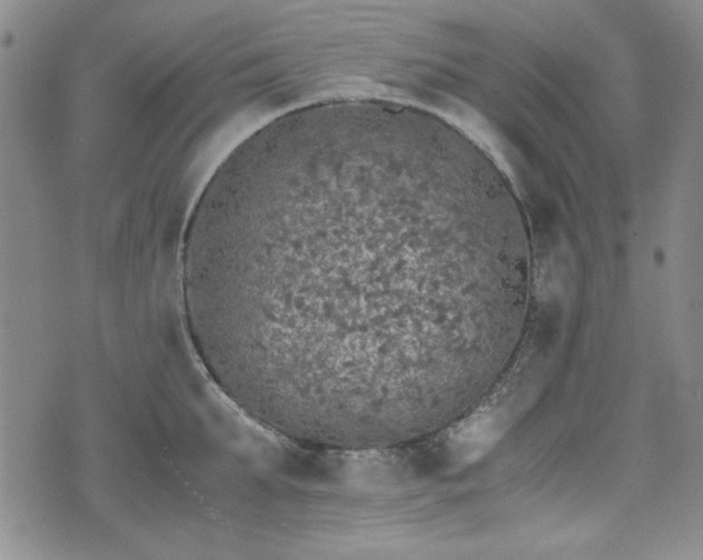 X0000073450903200608041024