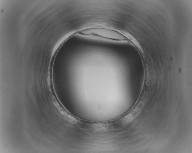 X0000073450904200608041024