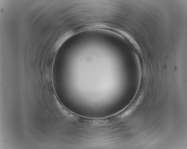 X0000073450905200608041024