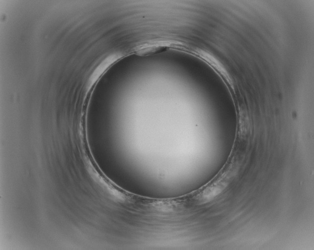 X0000073450906200608041024