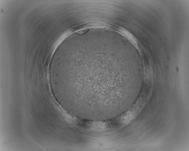 X0000073450907200608041024