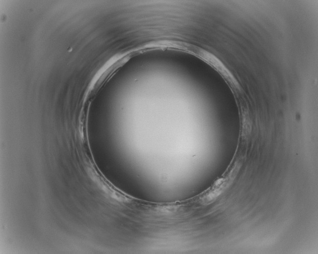 X0000073450908200608041024