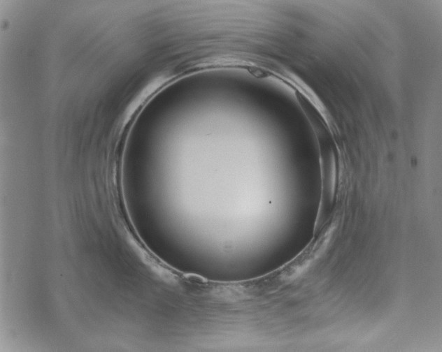 X0000073450909200608041024