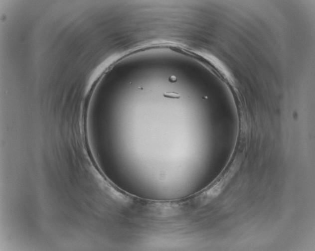 X0000073450910200608041024