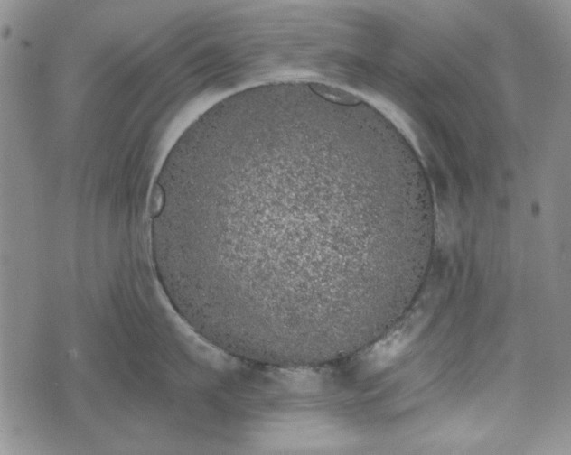 X0000073450911200608041024