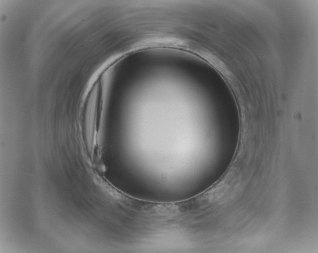 X0000073450912200608041024