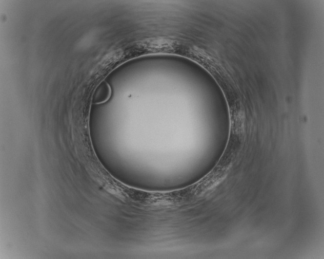 X0000073450913200608041024