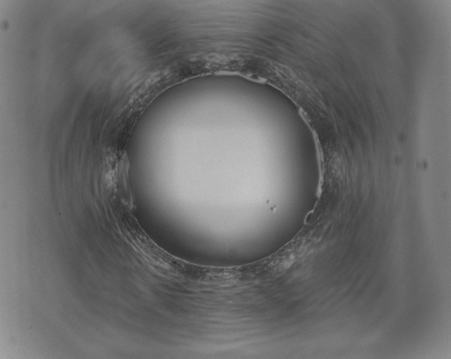 X0000073450914200608041024