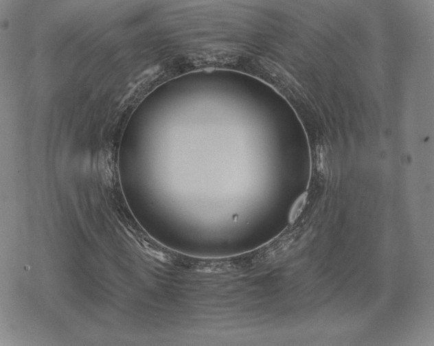 X0000073450915200608041024