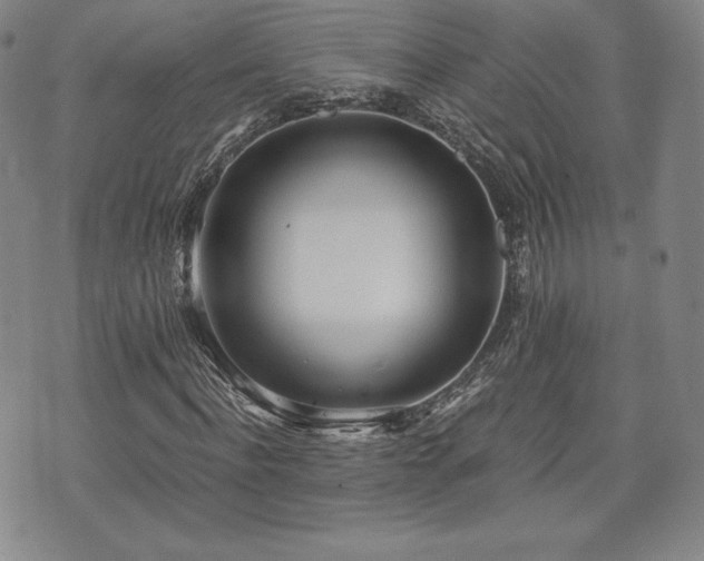 X0000073450916200608041024