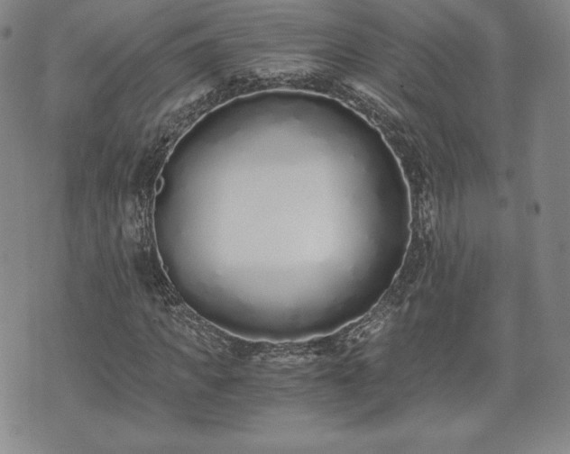 X0000073450917200608041024