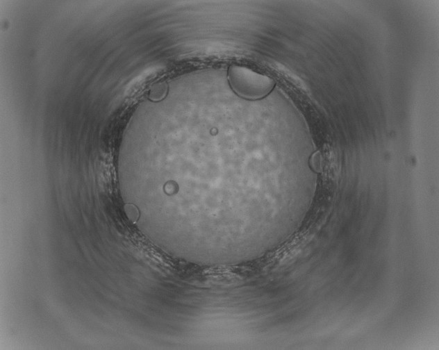 X0000073450918200608041024