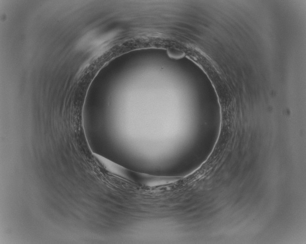 X0000073450919200608041024