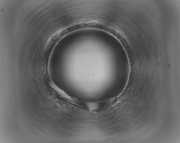 X0000073450920200608041024