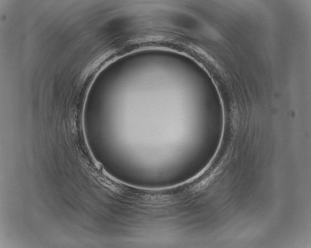 X0000073450921200608041024