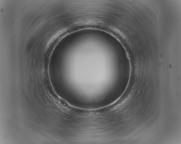 X0000073450922200608041024