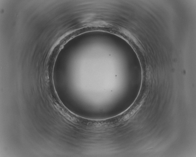 X0000073450923200608041024