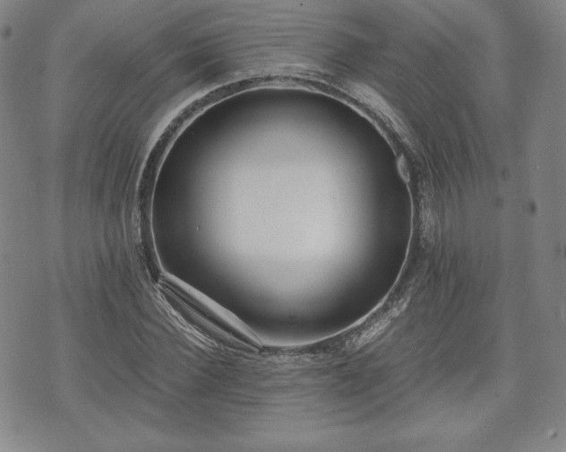 X0000073450924200608041024