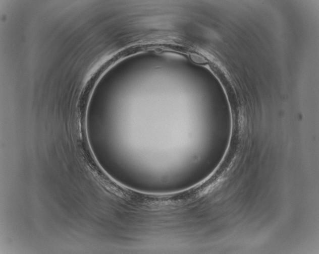 X0000073450925200608041024