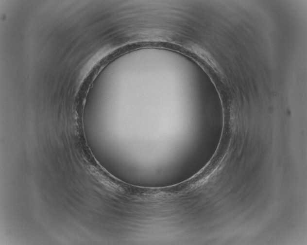 X0000073450926200608041024