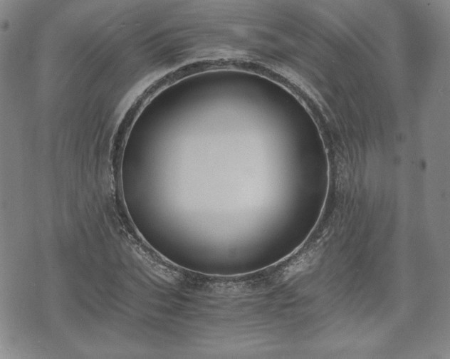 X0000073450927200608041024