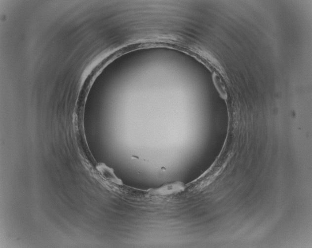 X0000073450928200608041024