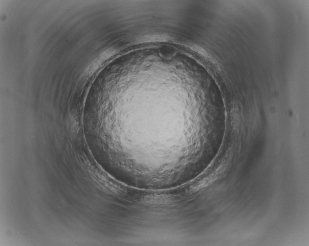 X0000073450929200608041024