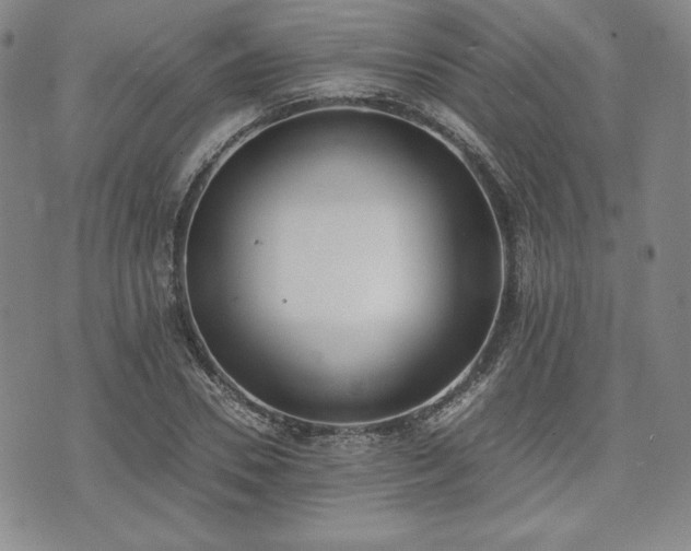 X0000073450930200608041024