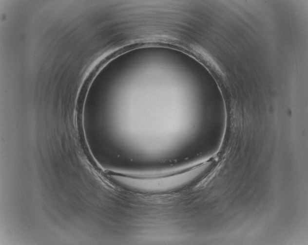 X0000073450932200608041024