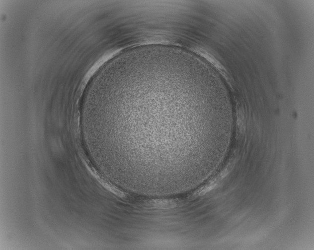 X0000073450933200608041024