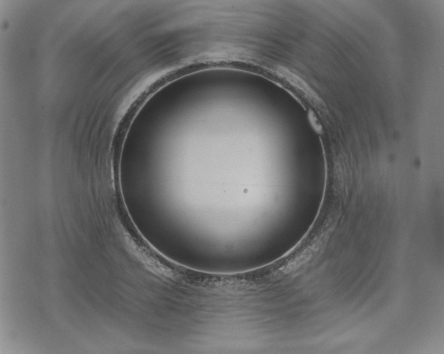 X0000073450934200608041024