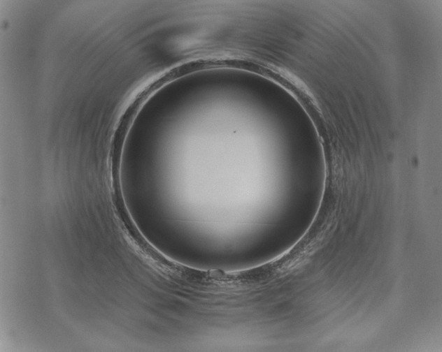 X0000073450935200608041024