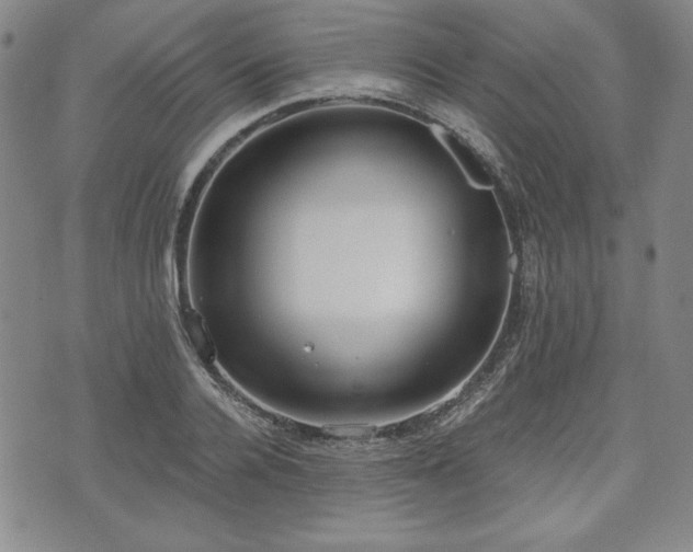 X0000073450936200608041024