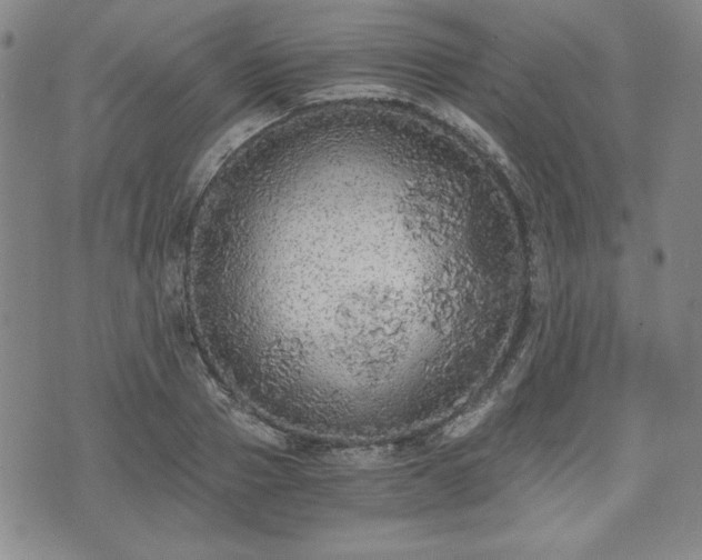 X0000073450937200608041024